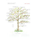 Personalised Calligraphy Family Tree Print By By Moon & Tide ...