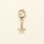 Star Matching Owner Necklace And Pet Collar Charm Set, thumbnail 5 of 7