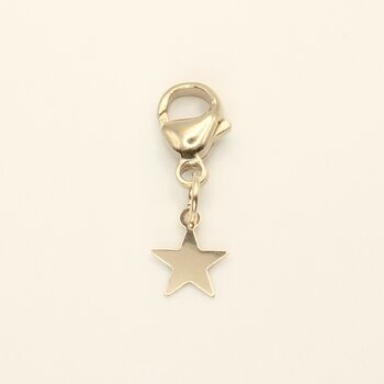Star Matching Owner Necklace And Pet Collar Charm Set, 5 of 7
