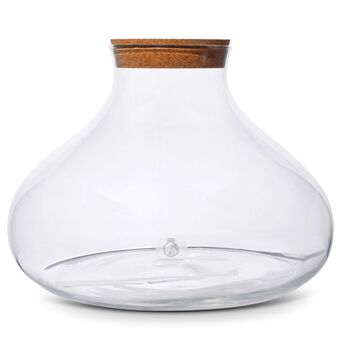 Large Glass Jar With Cork Lid Terrarium H: 26 Cm, 3 of 5