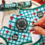 Festive Plaid Christmas Dog Harness, thumbnail 7 of 9