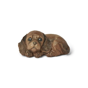 Solid Chocolate Puppy, 5 of 5