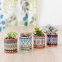 Set Of Four Colourful Christmas Plant Pots, thumbnail 2 of 3