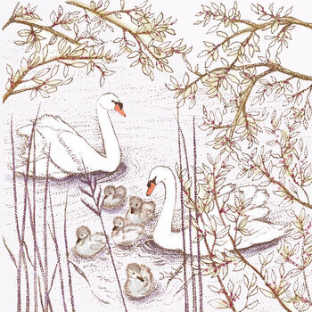 'Swans Swimming' Print, 3 of 3