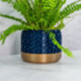 Midnight Honeycomb Planter, thumbnail 4 of 4