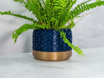 Midnight Honeycomb Planter, 4 of 4
