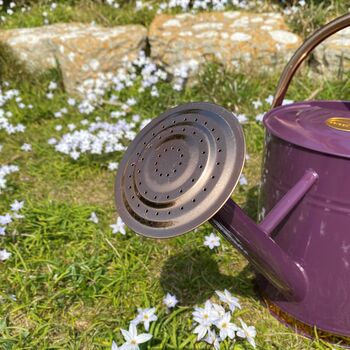 Perfectly Purple With Copper Trim Watering Can Duo, 6 of 9