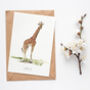 Giraffe Hand Painted Greetings Card, thumbnail 1 of 4