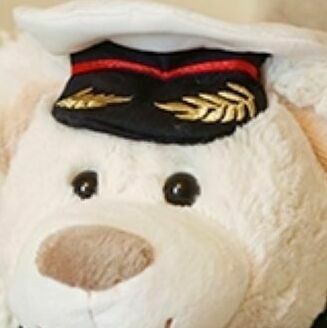 nautical teddy bear