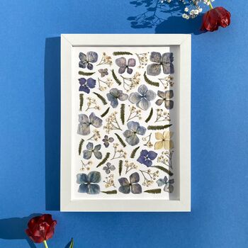 Hydrangea Pressed Flowers Framed Art A4, 5 of 5