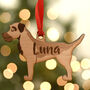 Border Terrier Personalised Dog Wooden Decoration, thumbnail 4 of 7