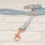 Waterproof Dog Collar And Lead Set Pastel Blue, thumbnail 1 of 3