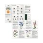 Bee Garden Seed Kit, thumbnail 2 of 6