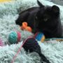 Cat Toy Hand Knitting Kit, thumbnail 8 of 11