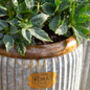 Wootton Vintage Plant Pot, thumbnail 3 of 11