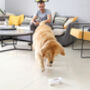 Smart Interactive App Based Dog Toy, thumbnail 3 of 4