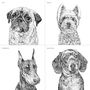 Set Of Four Dog Portrait Prints, thumbnail 11 of 12