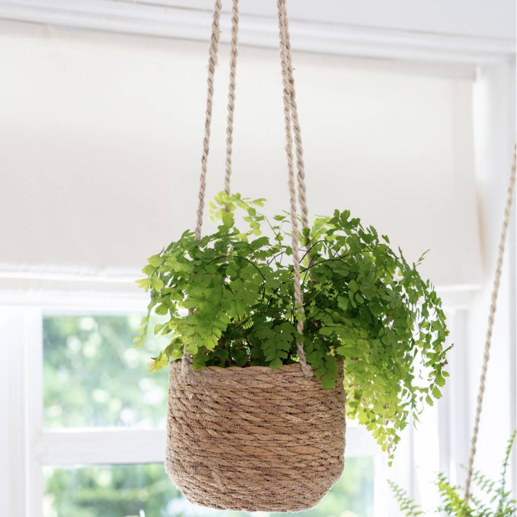 Seagrass Woven Hanging Plant Pot By Attic Room
