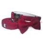 Poppy Red Harris Tweed Dog Collar Bow Tie And Lead Set, thumbnail 1 of 3