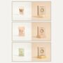 Hug In A Box Pamper Gift Box, thumbnail 5 of 10