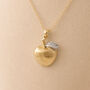 Personalised Gold Plated Sterling Silver Apple For The Teacher Pendant Necklace, thumbnail 2 of 9
