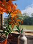 Orange Stained Glass Tiger Lily, thumbnail 2 of 4