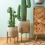 Gold Decorative Planter With Stand, thumbnail 1 of 3