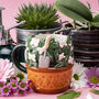 Ceramic Gardener Flower Pot Mug, thumbnail 1 of 5
