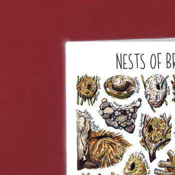 Nests Of Britain Greeting Card, 2 of 7