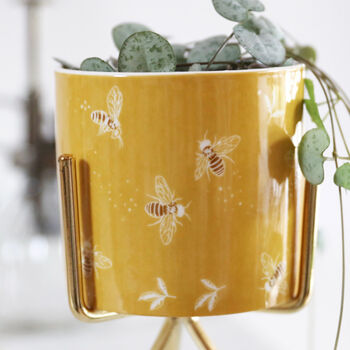 Yellow Bee Print Mini Planter And Stand, H14cm, 3 of 5