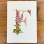 F Is For Foxglove Botanical Initial, Personalised, thumbnail 2 of 6