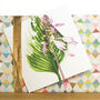 Mixed Botanical Greetings Card Pack One, thumbnail 4 of 7