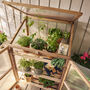 Wooden Framed Garden Greenhouse Growhouse Kit, thumbnail 2 of 12