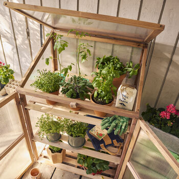 Wooden Framed Garden Greenhouse Growhouse Kit, 2 of 12