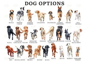 Personalised Family Portrait Print With Pet, 3 of 6