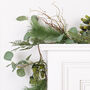 Botanical Beauty Deluxe Evergreen Wreath, thumbnail 7 of 8