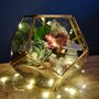 Gold Geometric Terrarium Kit With Succulent Plant Lover Gift, thumbnail 3 of 12