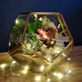 Gold Geometric Terrarium Kit With Succulent Plant Lover Gift, 3 of 12