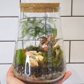 Diy Moss Terrarium Kit Glass Biodome With Live Plants, 8 of 9