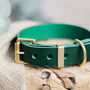 Personalised Leather Dog And Puppy Collars, thumbnail 2 of 10
