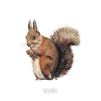 Personalised Squirrel Watercolour Art Print, 4 of 6