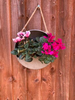 Hanging Zinc Silver Round Wall Planter – 20cm Plant Pot, 6 of 6