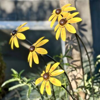 Set Of Five Rudbeckia Flower Sculptures, 2 of 7