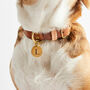 Luxury Leather Dog Collar, thumbnail 5 of 12