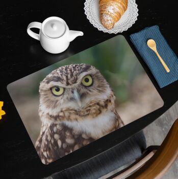 Placemats Featuring A Burrowing Owl, 2 of 2