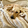 Sherpa Fleece Dog Blanket, thumbnail 1 of 10