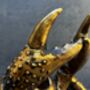 Drunken Crab Wine Bottle Holder Aged Gold Freestanding, thumbnail 10 of 12