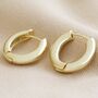 Medium Chunky Hoop Earrings In Gold Plating, thumbnail 2 of 5