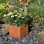 Rusty Square Plant Pot, thumbnail 3 of 4