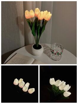Tulip Light, 5 of 7